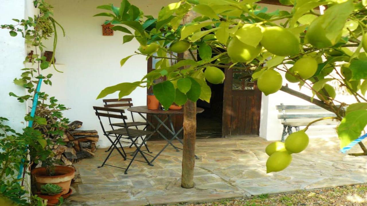 Casa Da Tia Luisa Villa Montoito Exterior photo